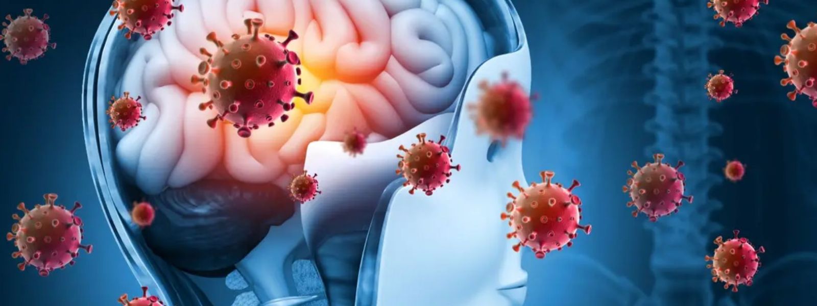 7 Suspected Meningitis Cases at Angunakolapelessa
